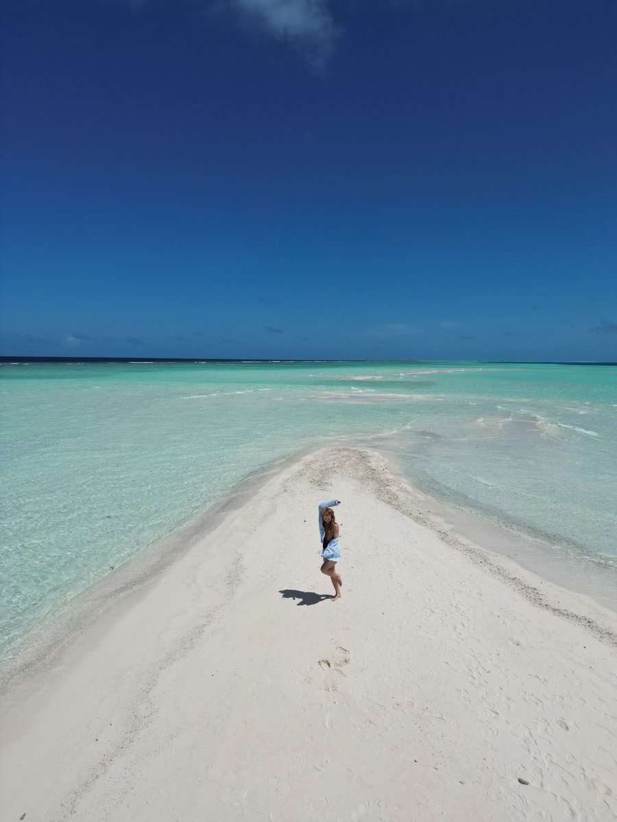 Niva_Kuramathi's tweet photo. When the ocean is your backdrop and happiness is the only plan.
#NivaKuramathi #YourIslandOfChoice #MomentsThatStay #PerfectEscape #VisitMaldives #FreedomToBe #EscapeToKuramathi #NivaKuramathiMoments https://t.co/q8ZbCmDT6x