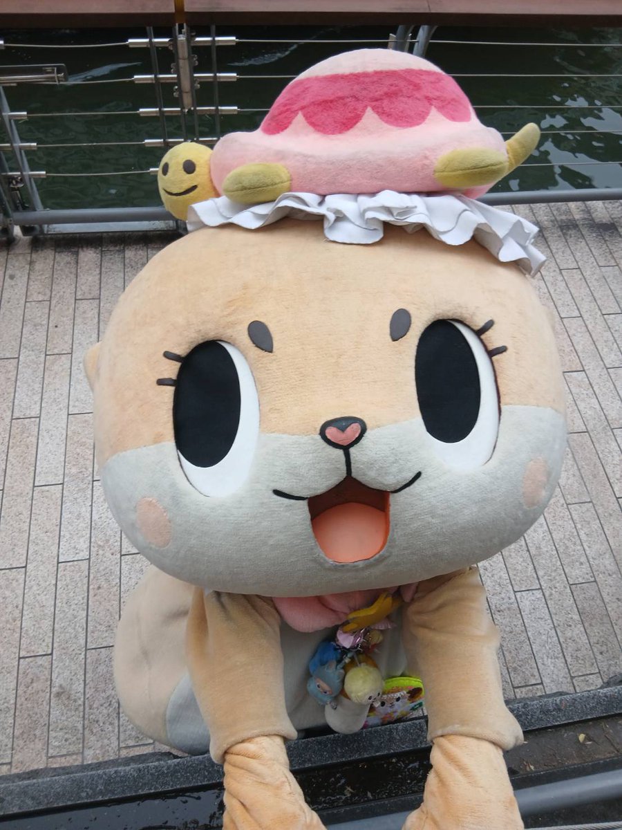 公式：ちぃたん☆大阪 (@Chiitan_Osaka) / Posts / X