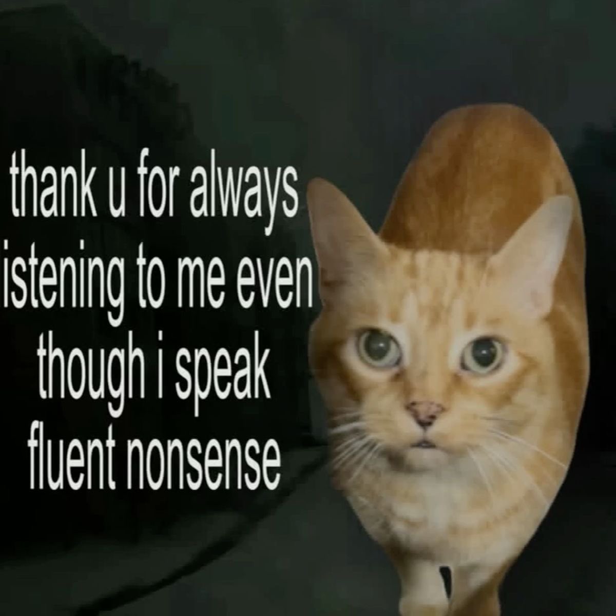 sillymeow4u's tweet photo. https://t.co/1X3KZF7P1U