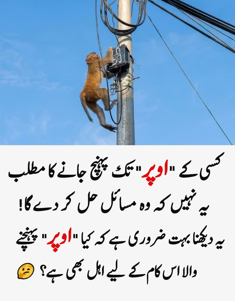 khaledanam1's tweet photo. https://t.co/pGLXvNM0mD