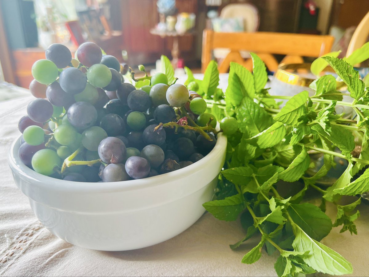 kiki_no_camera's tweet photo. bountiful harvest!! https://t.co/J0m4CCTZ4H