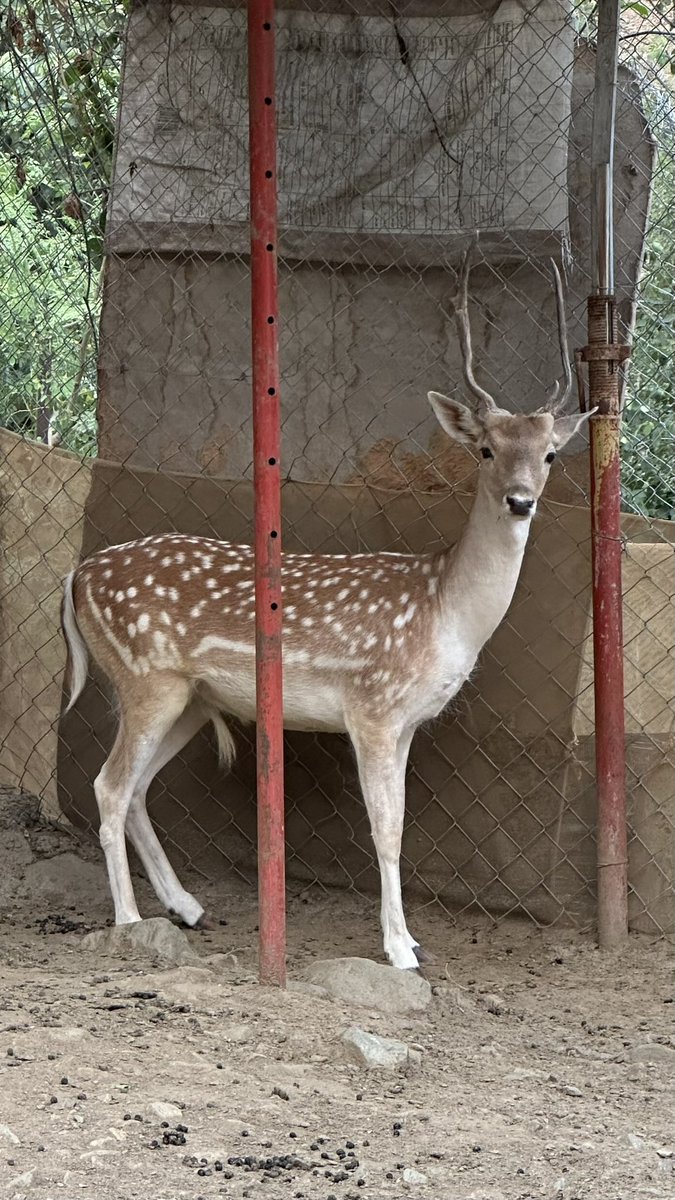 HF9090H's tweet photo. #سنابيات https://t.co/wxpRwdObsr