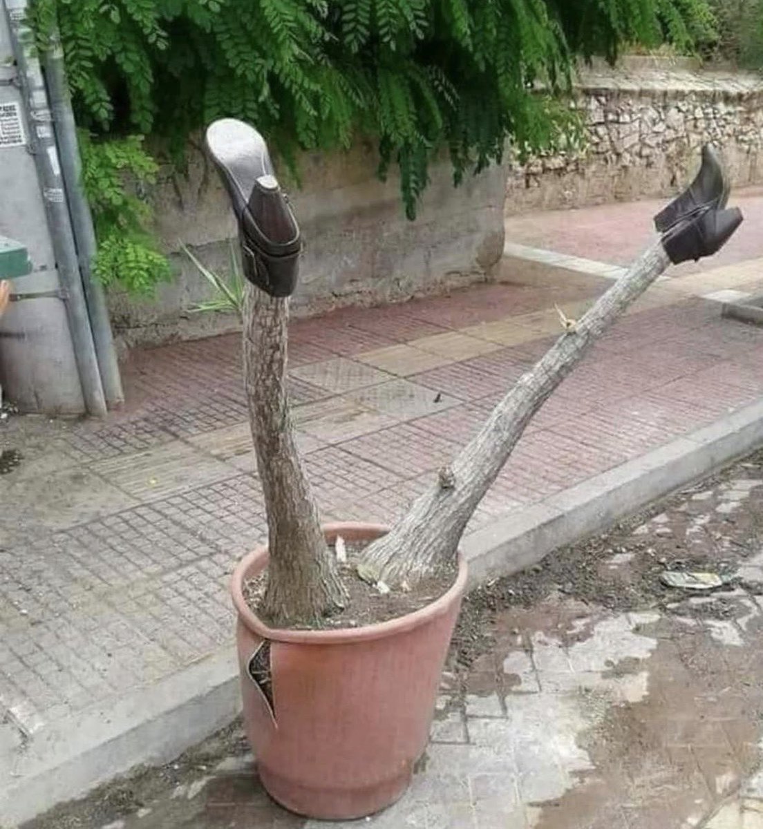 infowithsouravv's tweet photo. Nature is truly amazing. Sometimes, things are created on their own, 

and humans just add a little creativity and turn them into art. 

When we see it, we wonder how it was even made, and sometimes we can’t believe it. 

That’s why we should always be thankful to nature. https://t.co/EEkHwMkcIl