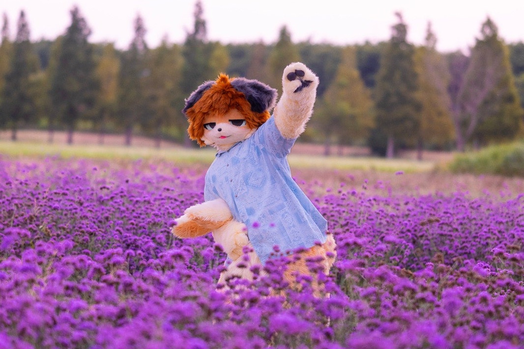 KimChun0's tweet photo. 이거 봐! 완전 꿈속에 들어온 거 같아!!!✨✨✨
Look at this!!! I' totally in a dream right now!!!
📸: @AMELIA_FURPHOTO  
#FursuitEveryday #Fursuit https://t.co/Siap4wbQCk