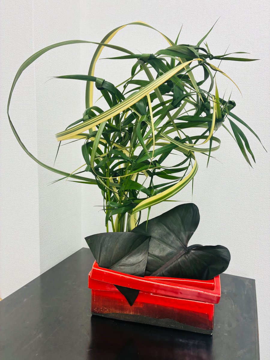 lillysho's tweet photo. 葉物で生ける！
「植物を編む」と「面の構成」というテーマ。花材をみて構想しながら手を動かしたものの、2時間じゃ全く足りない��� 
0 →1は簡単ではないからこそ、面白い。
明日もまたサラリーマン生活を頑張る〜
#flower #art #花 https://t.co/xHutlkdW3W