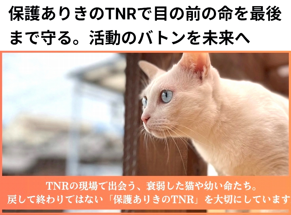 shu_ota2's tweet photo. 🆘#拡散希望🆘
【保護ありきのTNRで目の前の命を最後まで守る。活動のバトンを未来へ】への御支援お願いします🙇‍♂️
↓
https://t.co/EDTZxi0Gvf

残り29日で、達成率34%(残り263万6千円)です！
達成率が100%に達しないと支援金を受取る事が出来ません。

ご協力お願いします🙇‍♂️ https://t.co/pbOwyB2URE