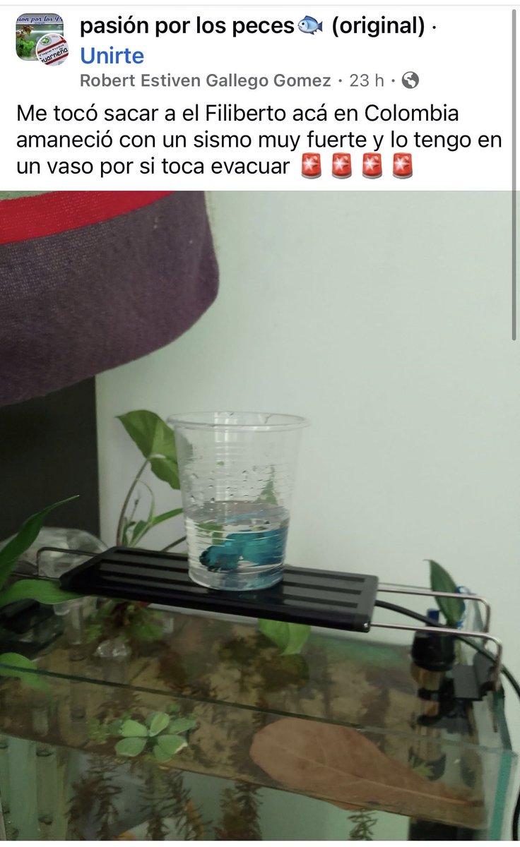unamuchachitaa's tweet photo. Te amo, dueño de Filiberto ❤️ https://t.co/hyuQtViFSQ