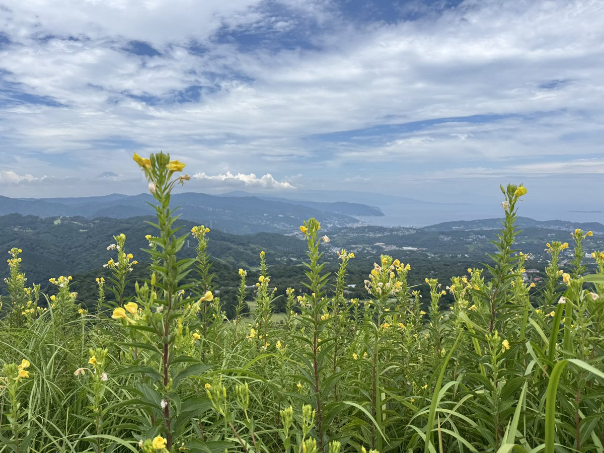 Zen_0110's tweet photo. 嫁と嫁母と嫁妹と　伊東にお出かけ。
台風が東から上陸だったので、西へ出かけたのが良かったのかほぼ良い天気☀️
大室山やら城ヶ崎やら回ってきた。 https://t.co/VMHLNs0k7i