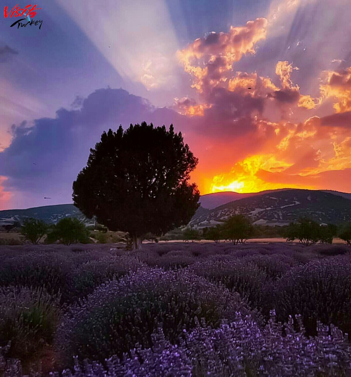 JoannaStauropo1's tweet photo. Τον αντρα τον γνωρίζεις, οταν η γυναίκα αρρωσταίνει.
Τη γυναίκα τη γνωρίζεις,οταν ο αντρας μένει ανεργος.
Τα παιδιά τα γνωρίζεις, οταν οι γονείς  γερνάνε.
Τα αδέρφια τα γνωρίζεις, οταν μοιράζεται η περιουσία.
Και τους φίλους, στα δύσκολα. https://t.co/1iTOmhVxn6
