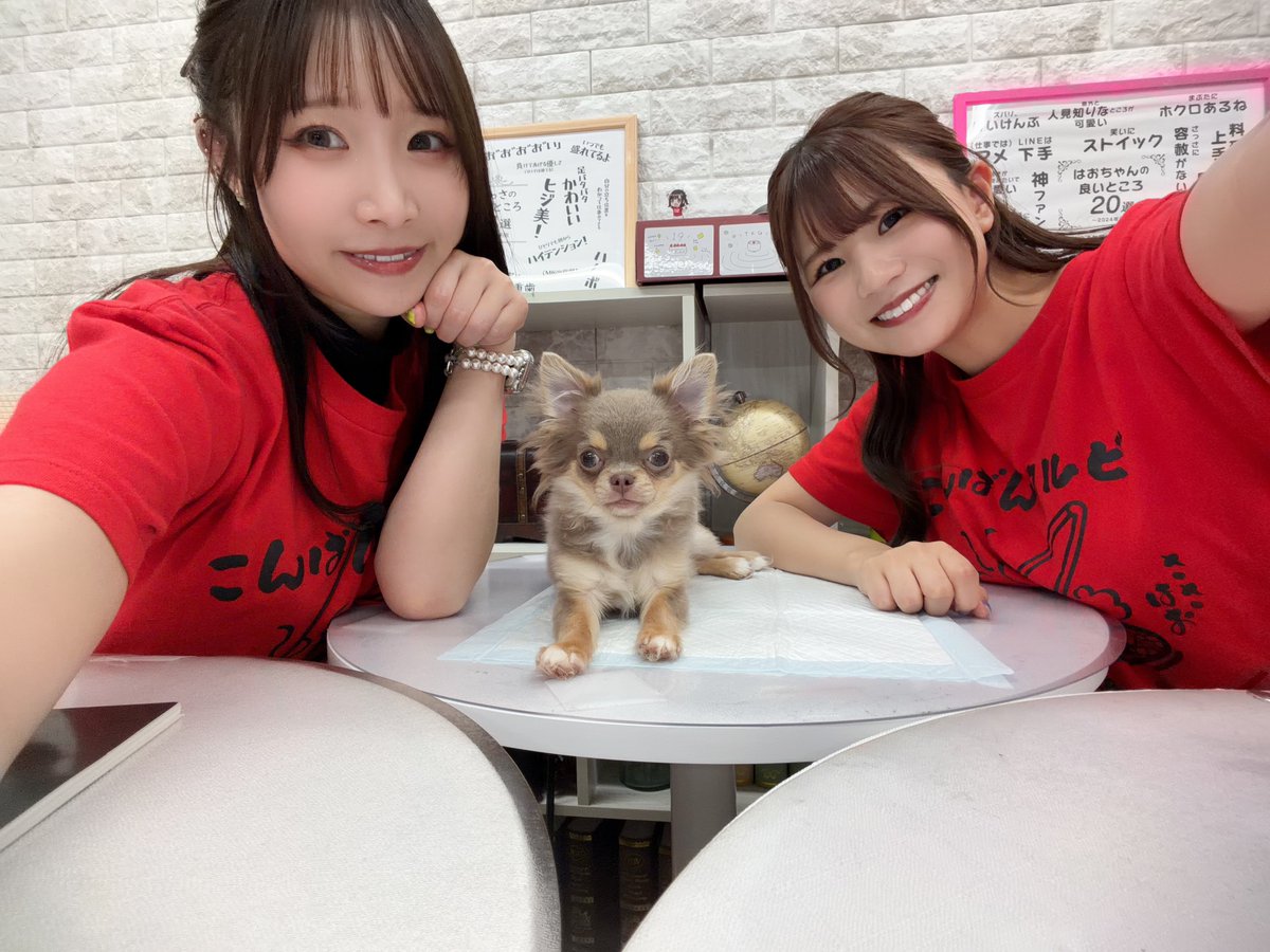 U_sshr's tweet photo. #ささはお
ありがとうございました！！
すごく素敵なこと言われてる…🍉✨
そういうつもりで買ってきたわけよね🥴

あ、この番組は可愛い番組です♡
ぽてちは楽しすぎて
ATではねむねむでした🐶
可愛い女性声優と
可愛い犬の映像をぜひご覧くださいっ
#セカンドショット https://t.co/CcIOa6jgif