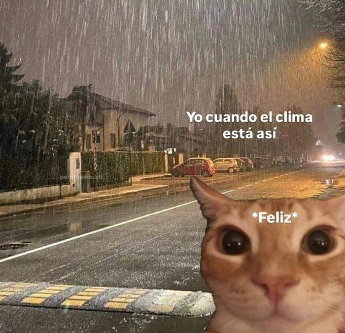 fernechini's tweet photo. lo mejor de todo https://t.co/ospGz35Obk