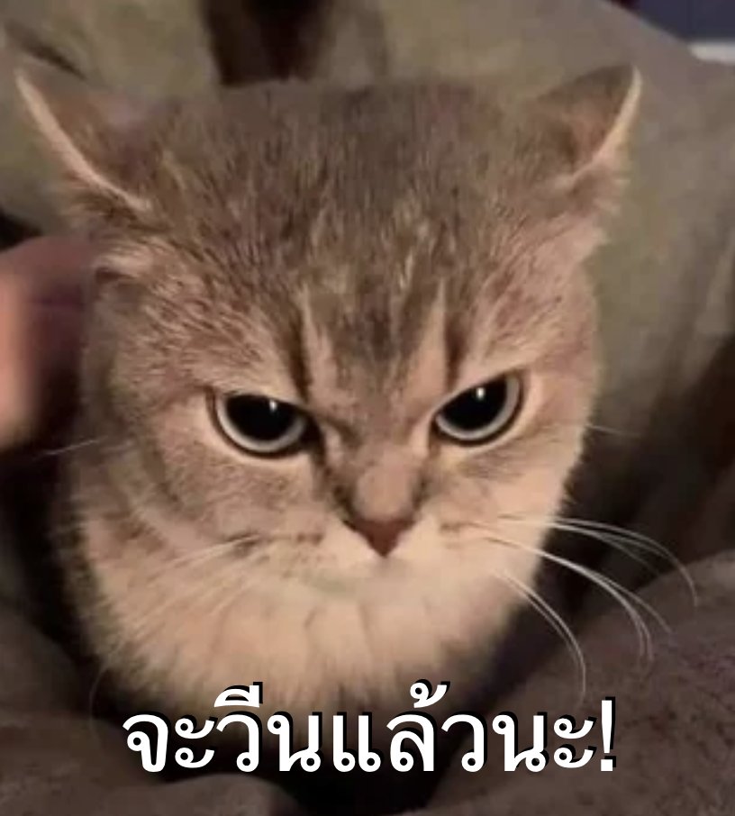MrKillSeries's tweet photo. ร่างสารวัตรวีนมาแล้วคับ พอได้ยินชื่อแล้ววีนเลย😅

#MrKillSeriesEP6
@dew_jsu @vitheepanich https://t.co/4Ic2hIpNj8