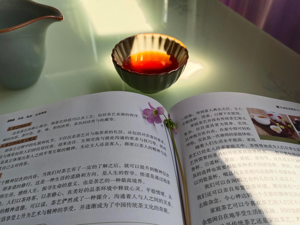 Koreyuynq's tweet photo. Just wrapped a lazy Sunday with iced coffee, a good book and my favorite playlist—this is the calm I needed. https://t.co/Svwm3TAjmm