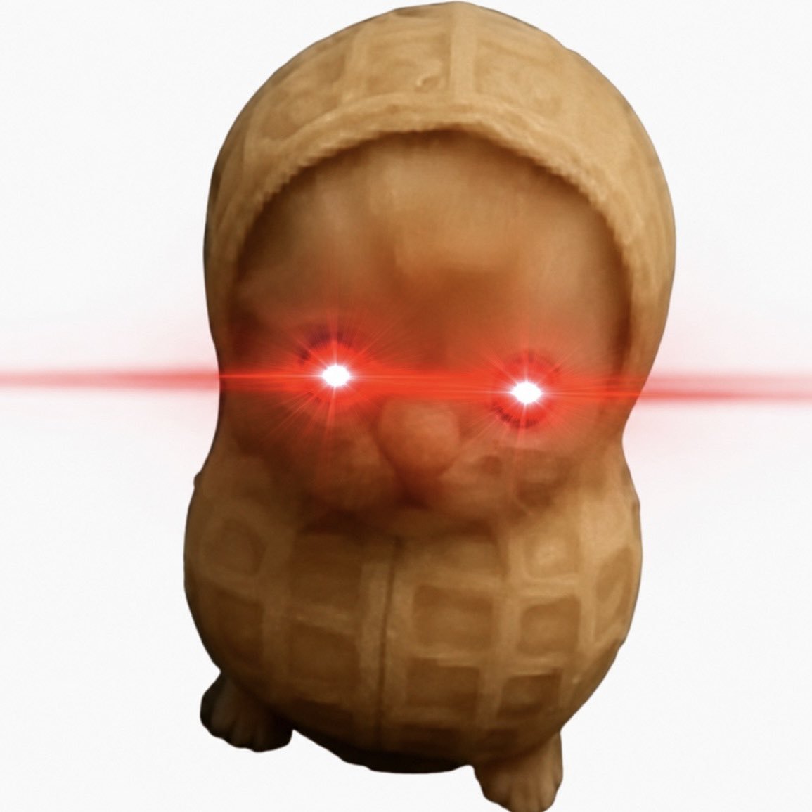 xKaaox's tweet photo. Nutcat https://t.co/ojKiKoUK6D