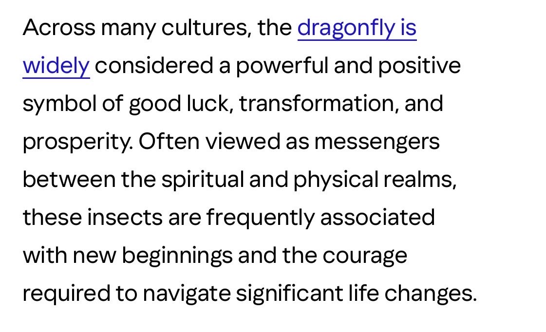 mama_becks's tweet photo. @mysorryheart2 A beautiful dragonfly. Hope this gives you some validation of everything you’ve done - it’s telling you everything is good! https://t.co/KKxlWpnSIL