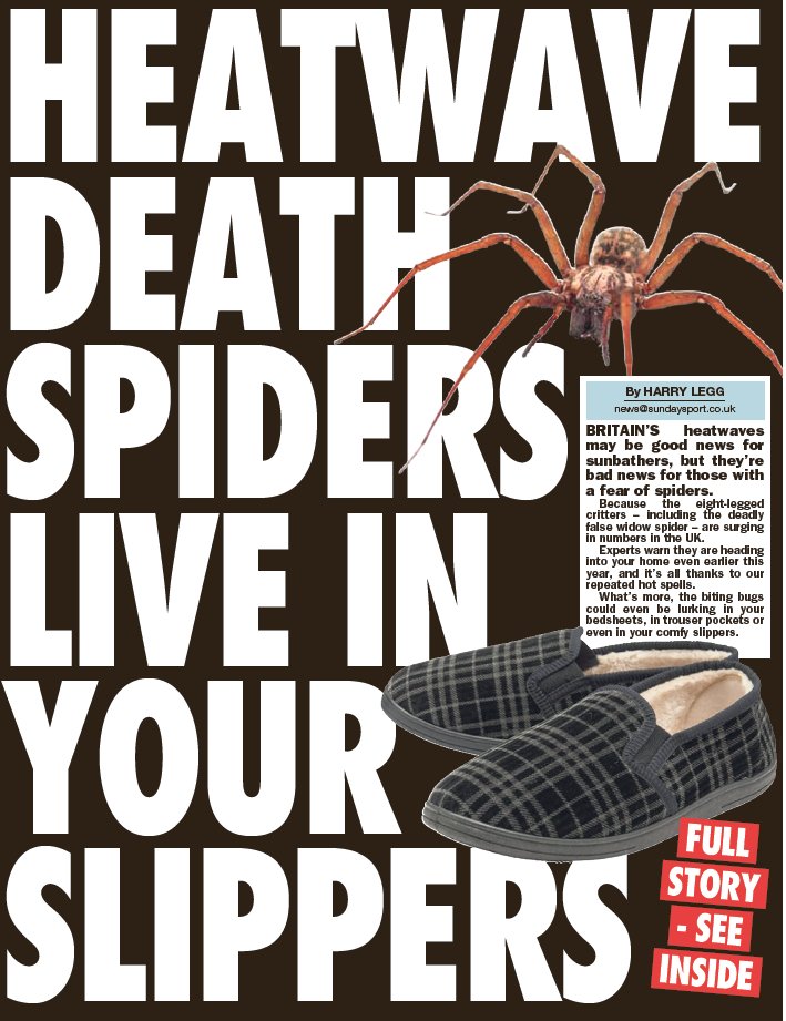 thesundaysport's tweet photo. There's no need for alarm. https://t.co/tQ2AKYd0nE