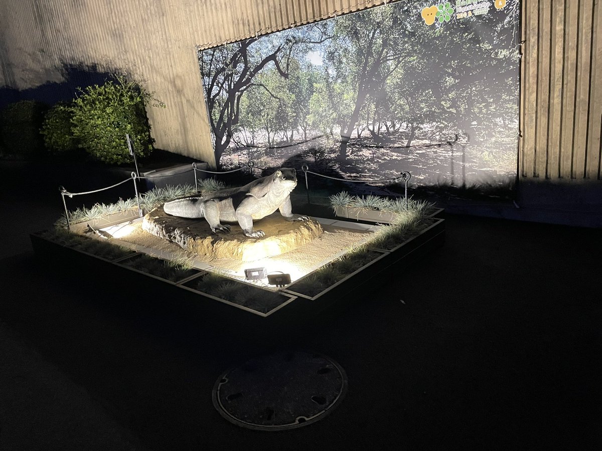 m63_akira's tweet photo. 東山動物園のナイトズーに行ってきた^_^ https://t.co/cwEn4uTbqL