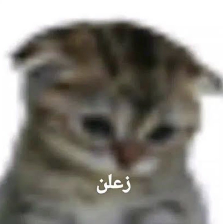 KING_ALSHEHRI01's tweet photo. @iwum80 https://t.co/TQMYLDHihK