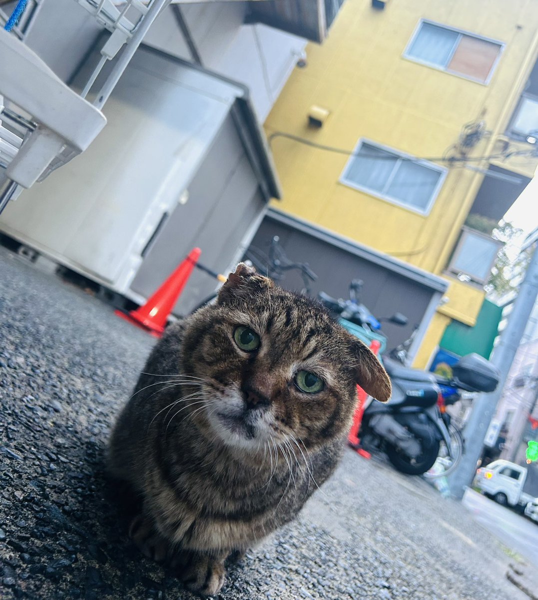 tsunchan55's tweet photo. ぶらりカワサキ🐈
夏☀️がキターっ👙

1.結城　心
2.水瀬美弥　
3.奥みお
4.中条彩乃
5.永澤ゆきの
6.南まゆ

アメタイ
ビバナ��
最強ラインナップ
またあすた✋

Oh yeah 👍 https://t.co/gQD0oCY0xS