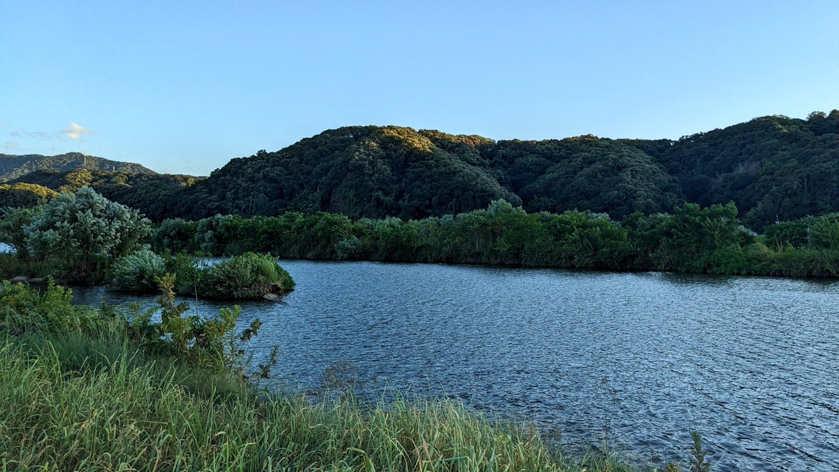 bottomofhexagon's tweet photo. 続きです！　2日目後半

⑨神辺城跡（広島県福山市）
⑩福山城跡（広島県福山市）
⑪草戸千軒町遺跡（広島県福山市）
⑫広島県立歴史博物館　草戸千軒展示室（広島県福山市） https://t.co/A8HEBa4h8n
