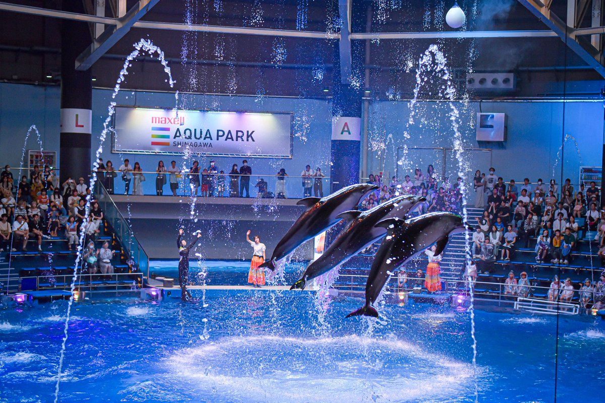 a20260730's tweet photo. また水族館いきたい https://t.co/QadwctZfWz
