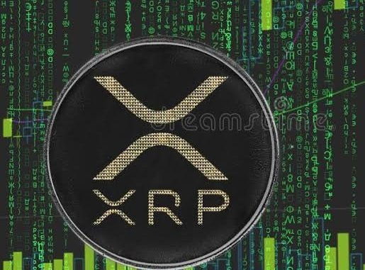 sjhdu0's tweet photo. How many #XRP do we need in order to become a Millionaire in 2026? 🤔

$XRP
📷 https://t.co/IGUI9GrodN