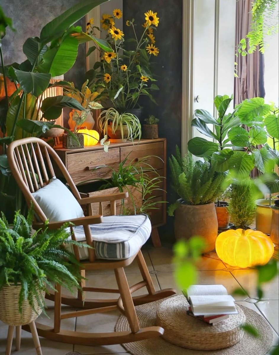 SimonaOscafive's tweet photo. Just swapped my daily office desk for a small balcony garden . Morning coffee now tastes better watching my tomato seedlings grow—small changes make big days!， https://t.co/vxPByQPRgk