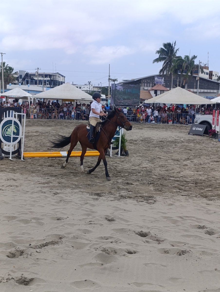 AgrocalidadZ4's tweet photo. 🐴 | #PrevenciónSanitaria

En #Manabí realizamos control sanitario en evento hípico, con el objetivo de mantener el estatus sanitario y evitar el contagio de anemia infecciosa e influenza equina.

#ProtegemosElAgroEcuatoriano 💪🏽 https://t.co/9WpKWWBu7y