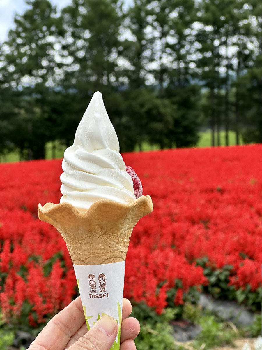 greenleft7777's tweet photo. 今日は先月行ってサルビアがまだ咲いてなかったYATZ GARDENに再び行ってみた。今度こそサルビアだけでなくいろいろ満開で壮観。ここはおススメかも。八ヶ岳に行く用事があればだけど… https://t.co/rBJDnfaG67