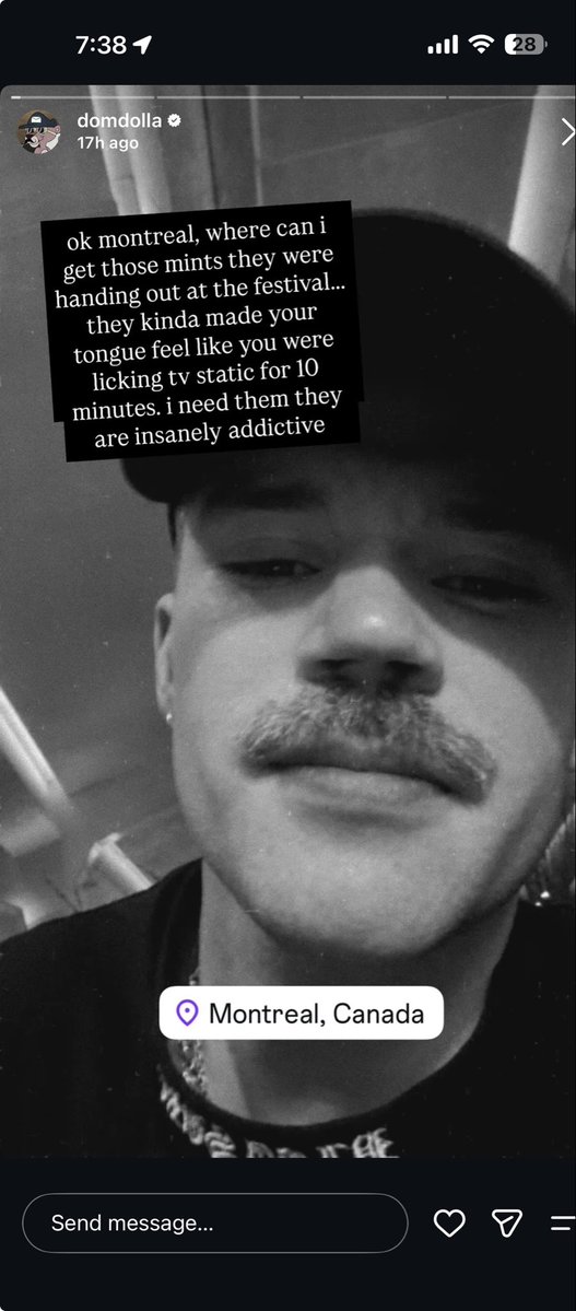 clairevsbirdman's tweet photo. dom dolla on a hunt for blow job mints is frying me https://t.co/vvtUmYPLrp