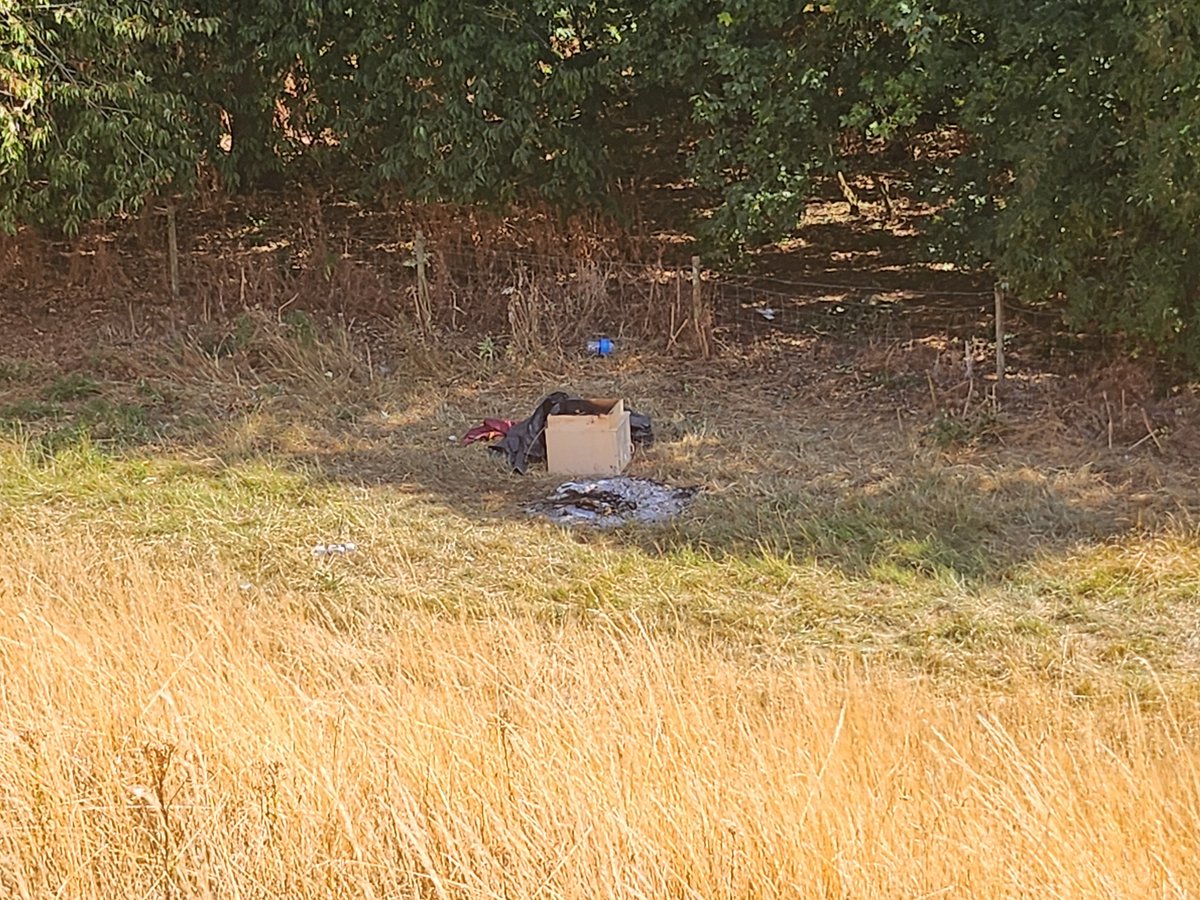 LadyCJeavons's tweet photo. This is next to trees in a field off Grange Lane Covenham next to Covenham Reservoir. A big fire risk🤬Also broken glass which could also cause a fire. https://t.co/Y0mN2Q0Zid