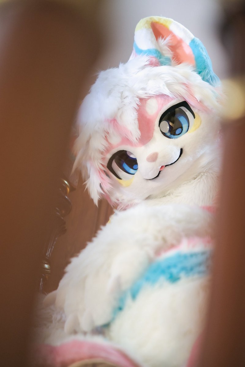 YANT0104's tweet photo. #Fursuit 
貓貓大小姐呀～🐱
～～～～～～～～～
#fursuitevery #furry #cat #FursuitsEveryday #cute https://t.co/odHIKgAcVf