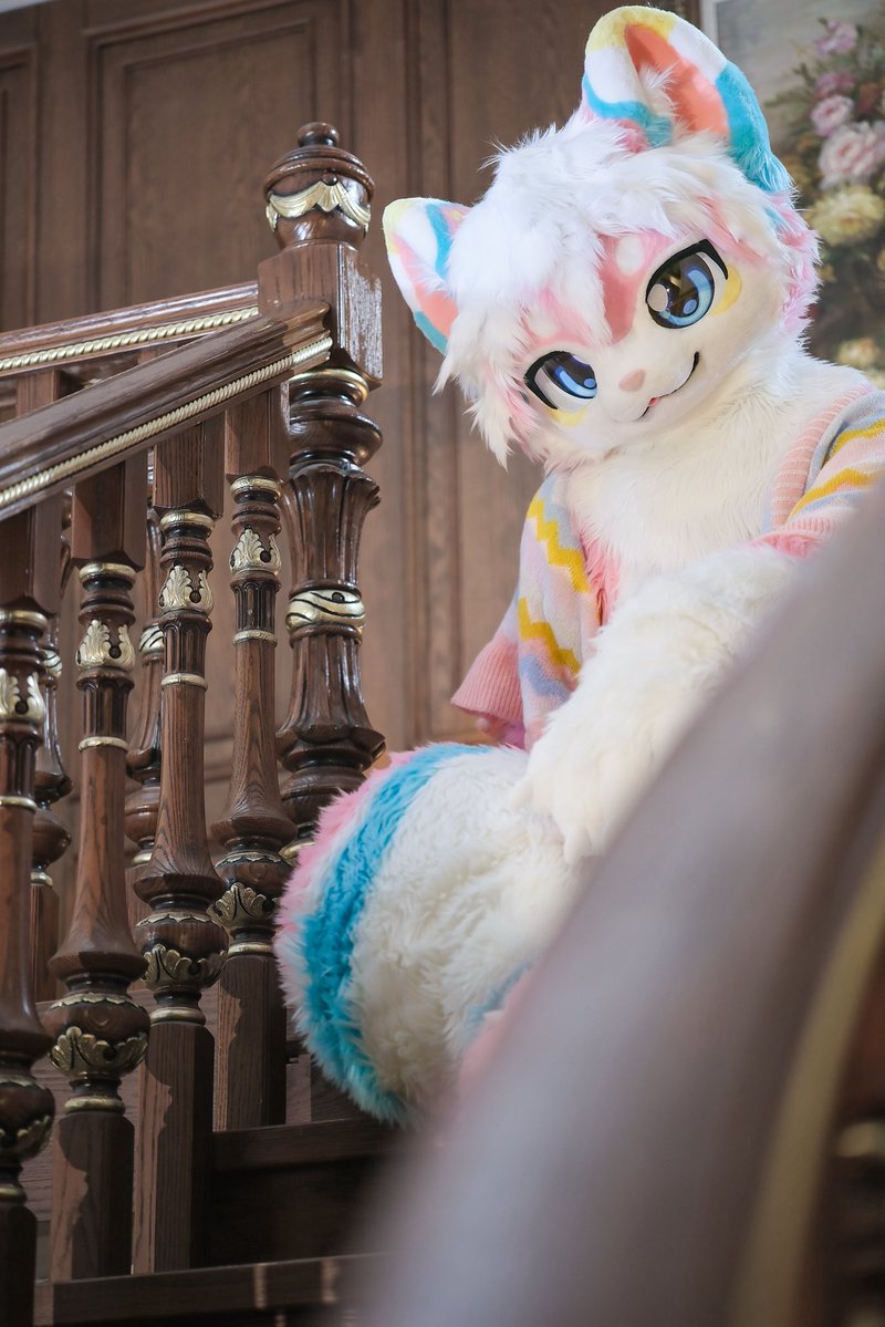 YANT0104's tweet photo. #Fursuit 
貓貓大小姐呀～🐱
～～～～～～～～～
#fursuitevery #furry #cat #FursuitsEveryday #cute https://t.co/odHIKgAcVf