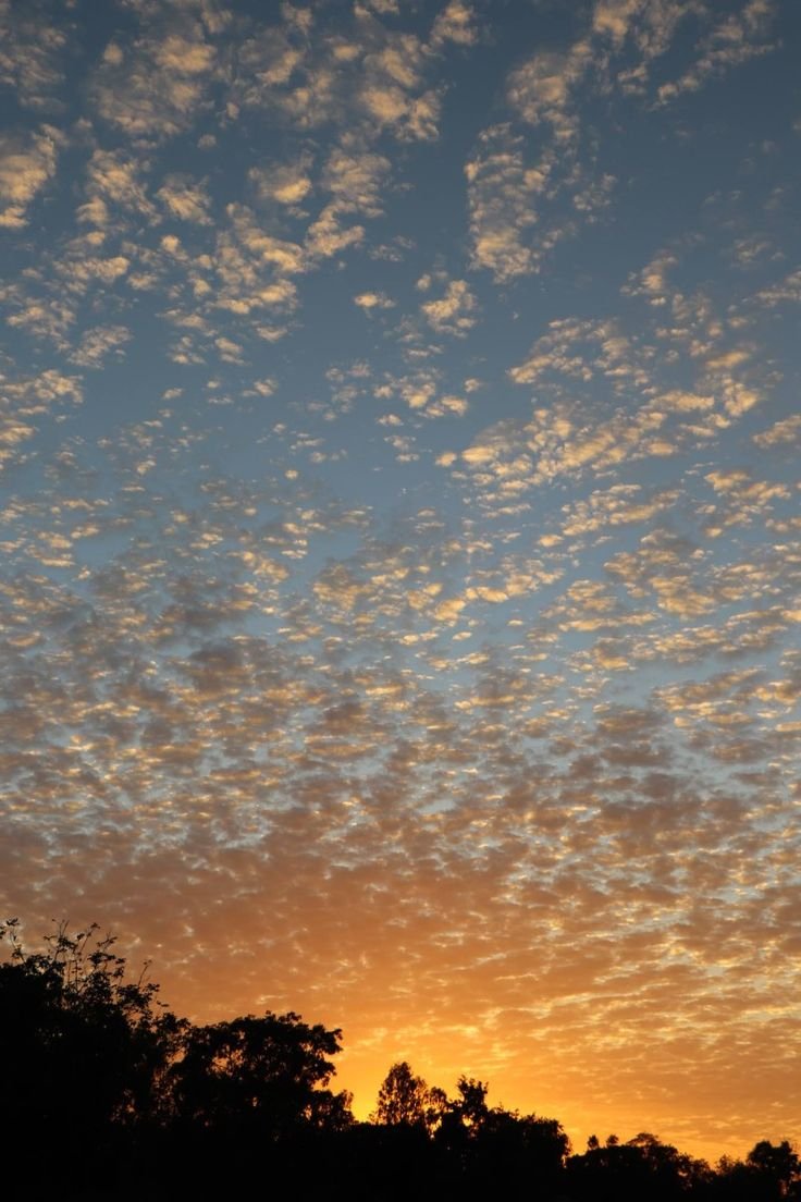 fikoefi's tweet photo. ~🌅✨ https://t.co/Wnta2fQTkA