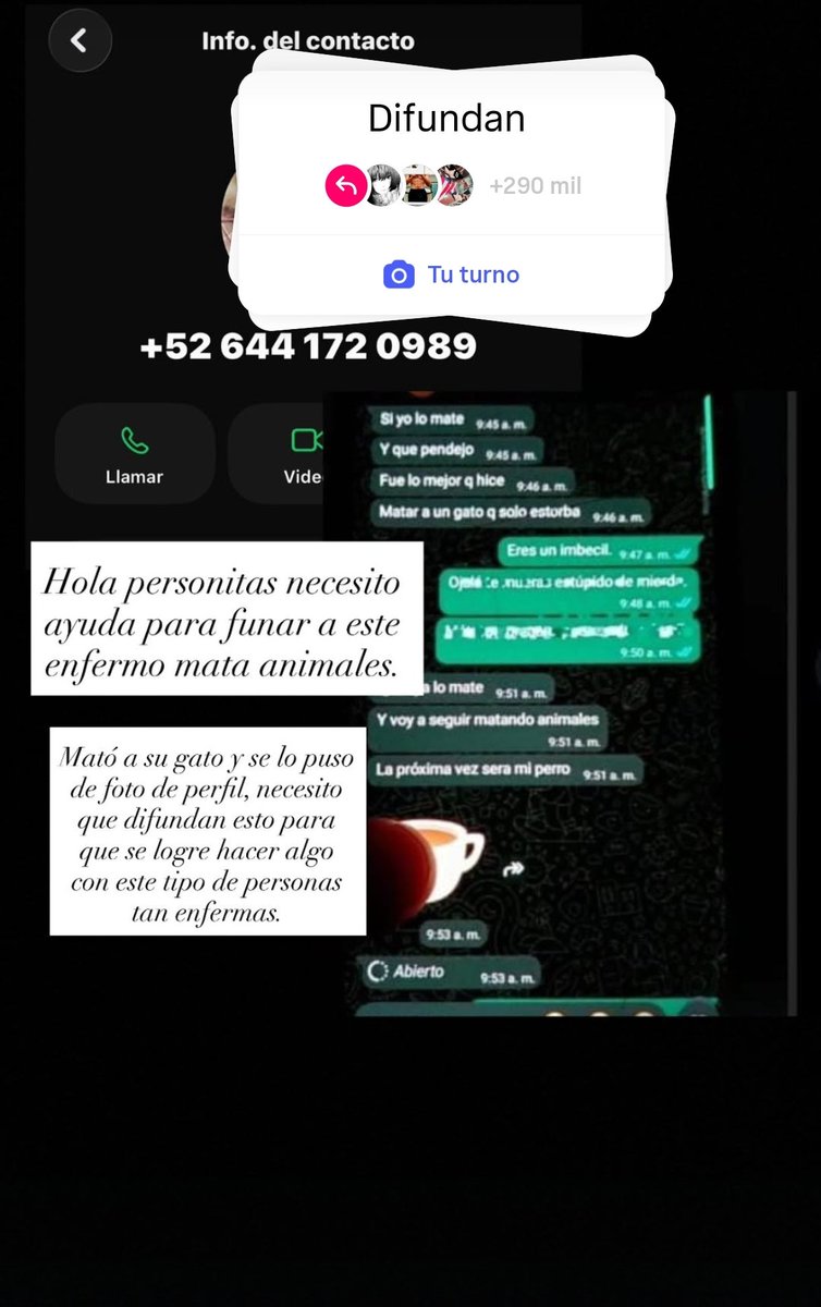 seesaw_ag's tweet photo. @goeskthh Por favor difundan https://t.co/0wjgaBEMQG