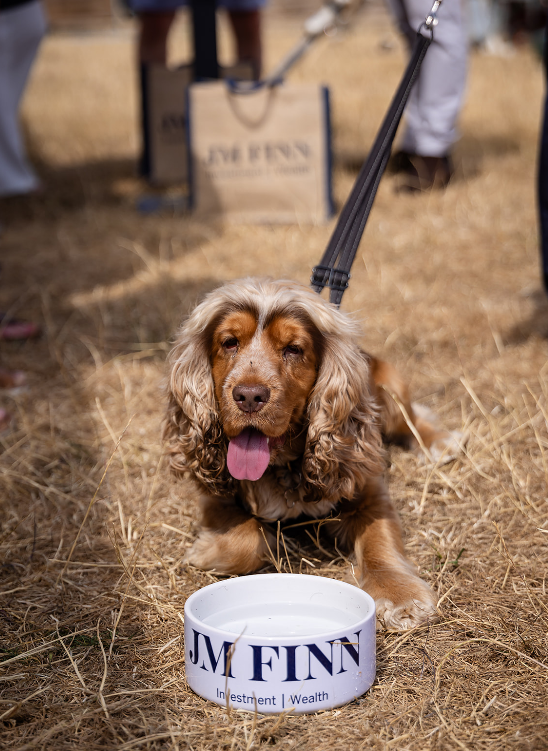 JMFinnWealth's tweet photo. As our firm turns 80 this year, building client relationships face-to-face remains at the heart of what JM Finn do. Our team enjoyed an excellent weekend meeting new and existing clients in the sunshine – and even got to know some of their four-legged friends. https://t.co/AdFSFj9tcq