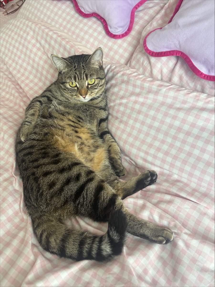 ellisobel's tweet photo. he’s over it btw https://t.co/G3LXlaSonm