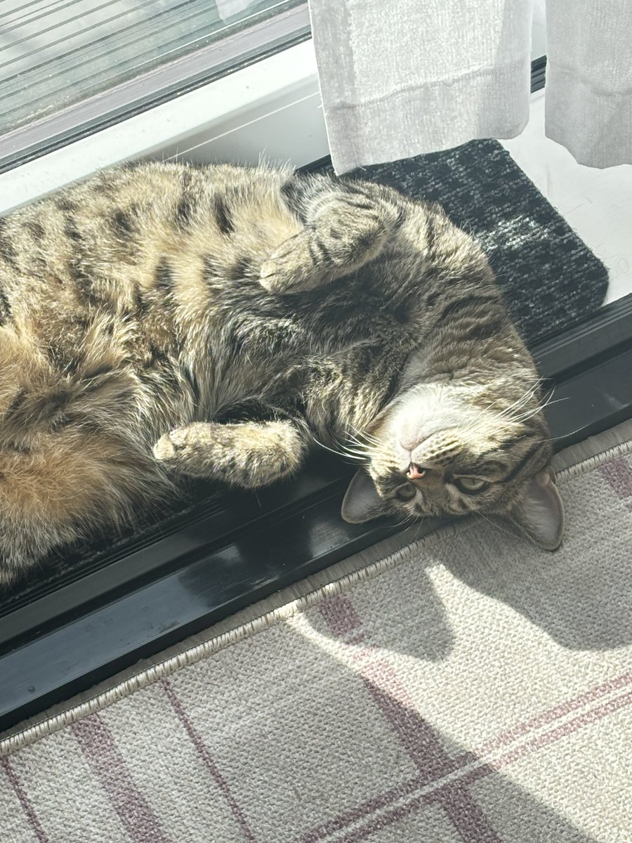 ellisobel's tweet photo. he’s over it btw https://t.co/G3LXlaSonm