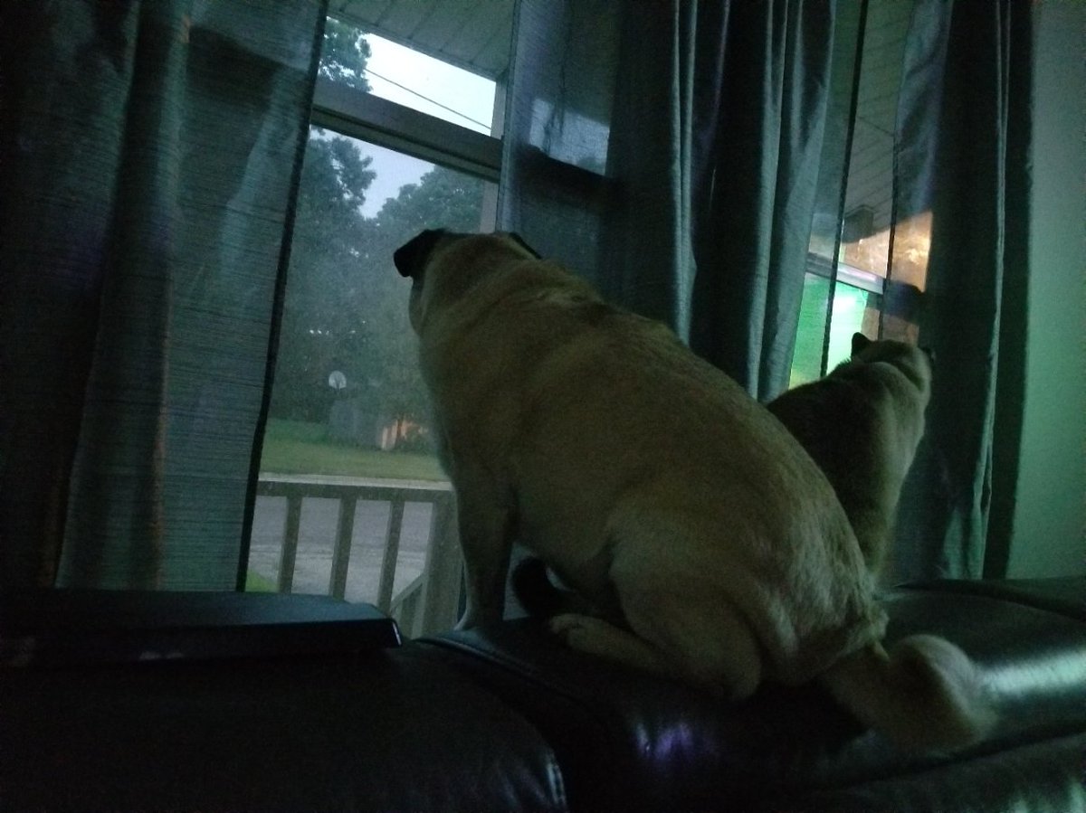 LiamWonderPug's tweet photo. Storm tracking. It was bright and sunny earlier, me and the cat decided the wind wasn't going to blow hard, yet. It's raining hard right now, the gutters are full. Our human has been unwell. #ilwx #itsrainingagain #weatherpug https://t.co/8tnRY0cAUy