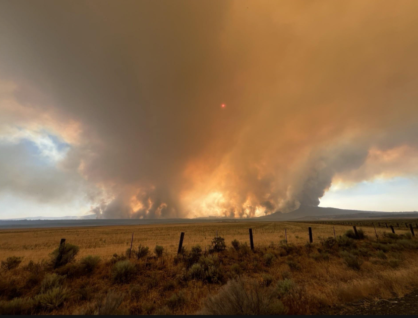 KVALnews's tweet photo. The Federal Emergency Management Agency is providing more federal funding to help Oregon fight two major wildfires.
Read More: https://t.co/VGsaVfWz9w
#LiveonKVAL #LocalNews #HagenFire #WrightsSpringFire #FEMA #Wildfires https://t.co/0mLO3MYiT1