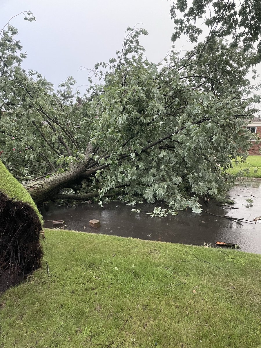 RaeAshcroft's tweet photo. @StoryfulNews Yes you may use them. This happened in my front yard in Gary, In. Around 11:15AM you may use the photos and videos. https://t.co/YE3MdRKAsZ