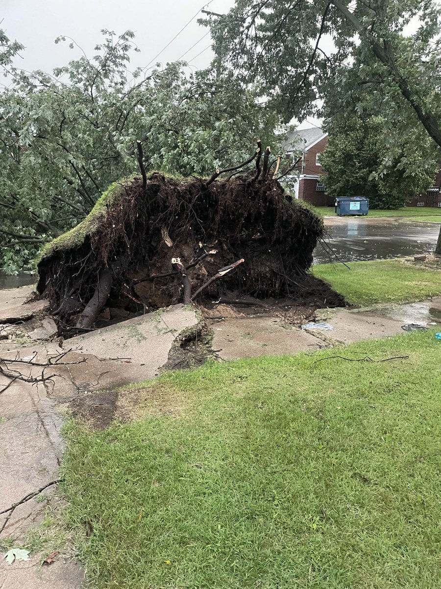 RaeAshcroft's tweet photo. @StoryfulNews Yes you may use them. This happened in my front yard in Gary, In. Around 11:15AM you may use the photos and videos. https://t.co/YE3MdRKAsZ