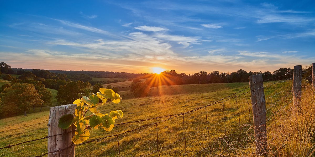 LANDTHINK's tweet photo. Buyers do not always need to have the final chapter written when they purchase the land. As Quynh Vu, with @securelandco, explains, sometimes owning the land is the first step. The rest of the vision comes later. https://t.co/RJcwTSZl3h https://t.co/roshLm0MlW