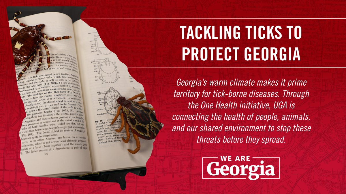 universityofga's tweet photo. Ticks pose a constant threat to people, livestock, and wildlife across Georgia. 

Through the One Health initiative, UGA researchers are partnering with communities in 120+ counties to track tick-borne diseases and keep Georgians safe. https://t.co/9ldMsk1Nf4

@uga_serves @ugavetmed