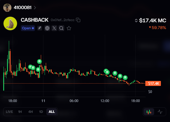 disciplinebound's tweet photo. THIS IS LITERALLY THE ONLY COIN ON LETSCASH FOR WHICH YOU RECEIVE $CASHCAT WHEN YOU HOLD IT

SEND IT $CASHBACK

CT LITERALLY SLEEP ON IT https://t.co/XGK4CxpxGx