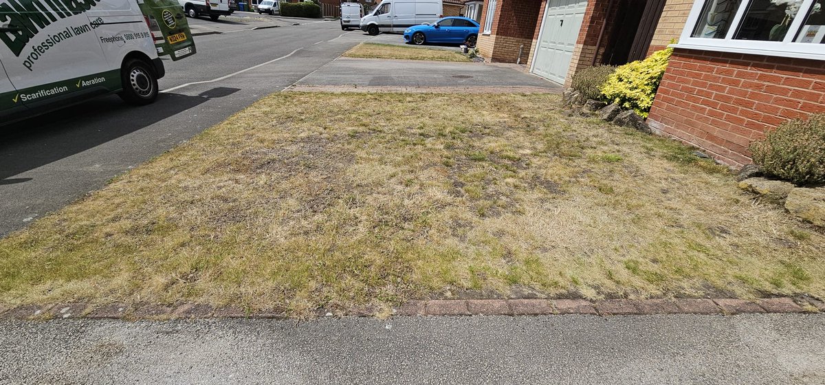 LawnMasterNotts's tweet photo. Bang up to date #lawnenvy for you this week, no same angle shot but this is the same lawn
Our guy came back with photos yesterday #sbswinnershour https://t.co/0MEZYQRpfJ