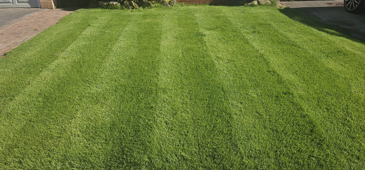 LawnMasterNotts's tweet photo. Bang up to date #lawnenvy for you this week, no same angle shot but this is the same lawn
Our guy came back with photos yesterday #sbswinnershour https://t.co/0MEZYQRpfJ