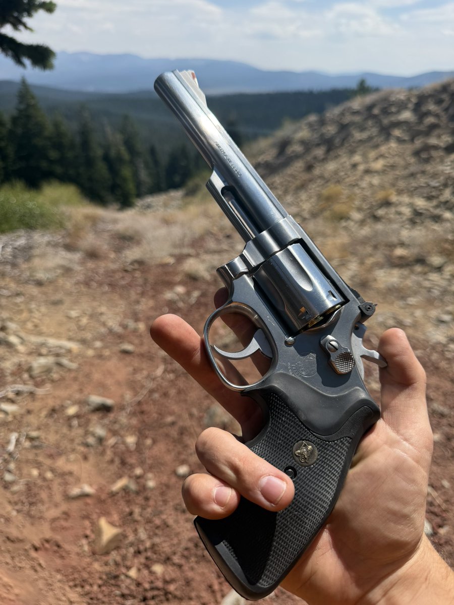 HiVEMiND_Zero's tweet photo. The sensitive young artist conceals a .357 mag. https://t.co/pkl3hLHioK