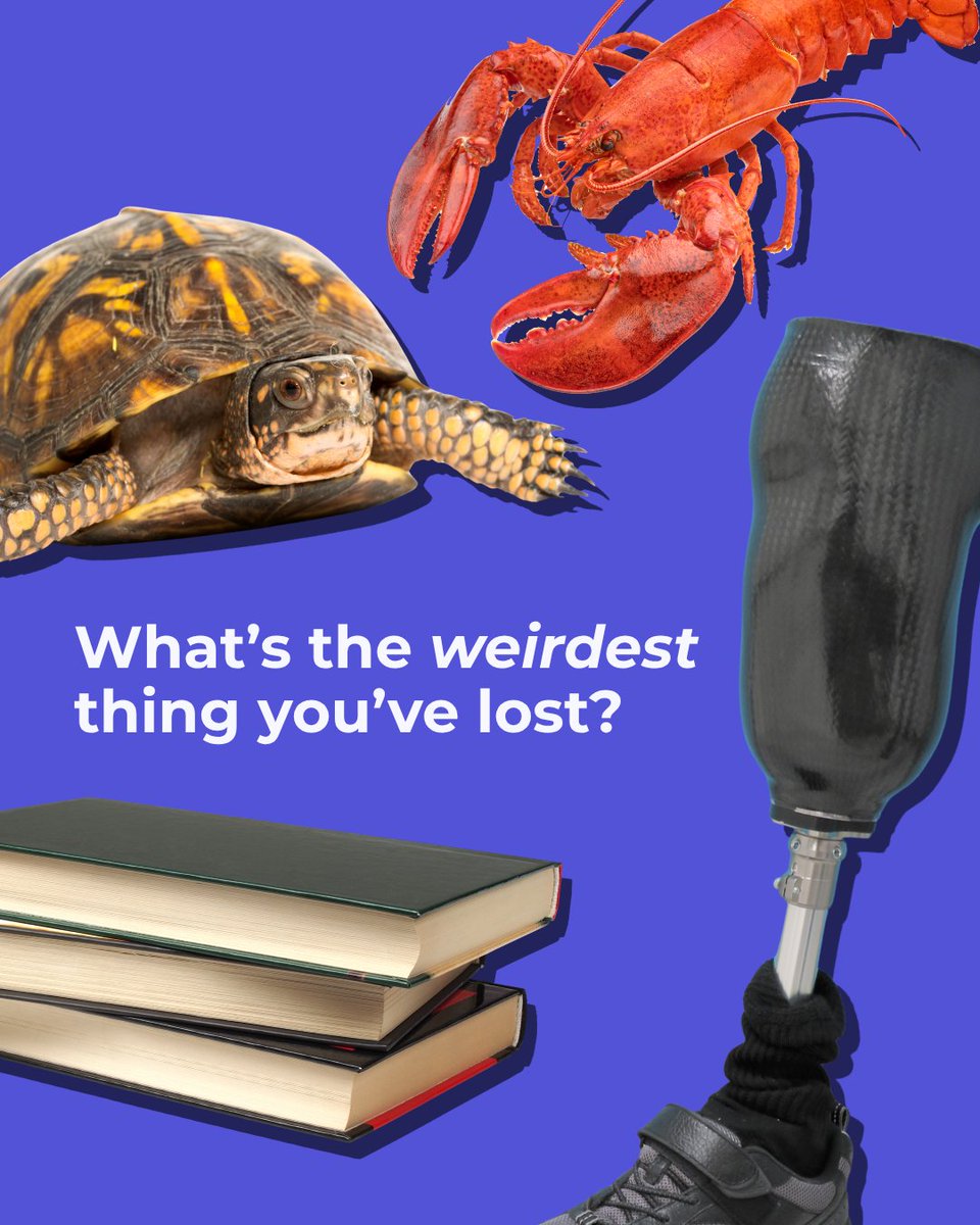 pixithq's tweet photo. Keys? Sure. 🔑

A turtle? A lobster? A prosthetic leg? 👀

We've seen some unexpected lost items but we want to hear yours.

What's the weirdest thing you've ever lost? 👇

#LostAndFound #Pixit #CustomerExperience #Story https://t.co/wUEkqsV1Kw