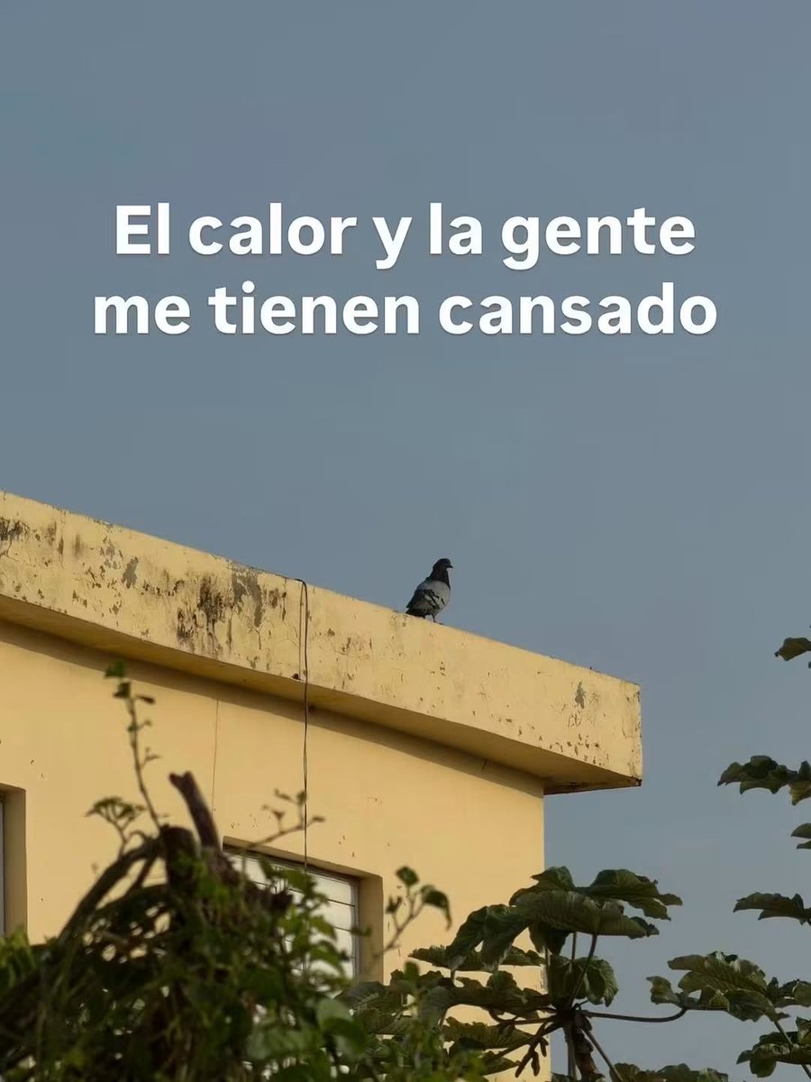 En_jupiter_'s tweet photo. Alguien échele agua al sol. https://t.co/LaKEdcL5Yx